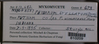 Image Associated With the Occurence